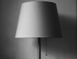 Photo floor lamp
