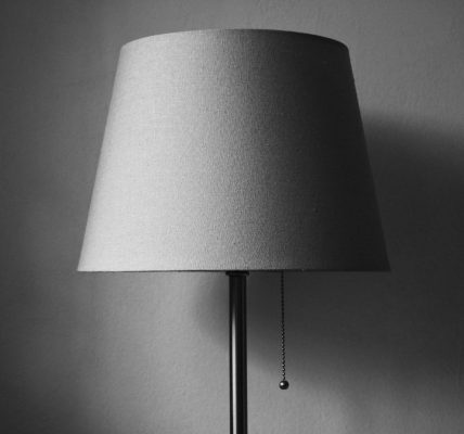 Photo floor lamp