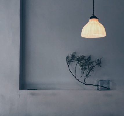 Photo pendant lamp