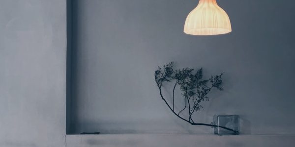 Photo pendant lamp